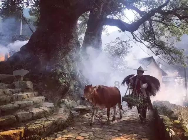 小熊救援